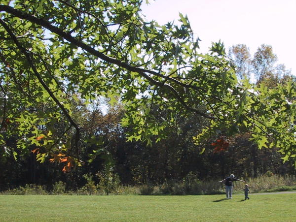 afton oct-05 3 2.jpg